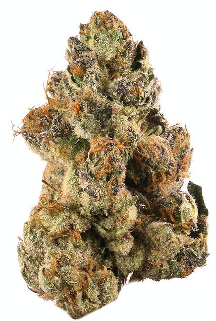 Gelato